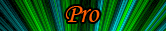Pro