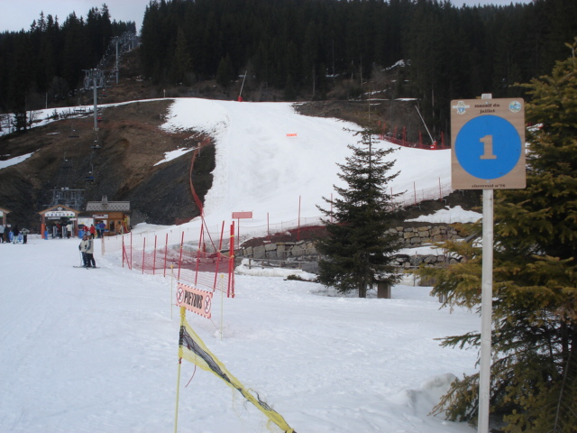 Chevreuil / Megève Jaillet Dsc03921-856555