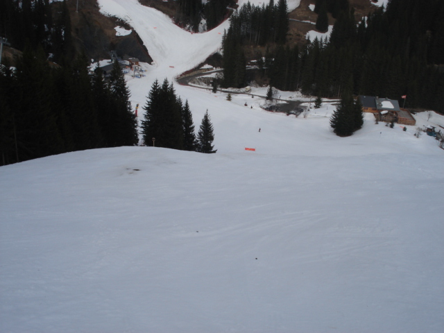 Moineau / Megève Jaillet Dsc03898-8c9540