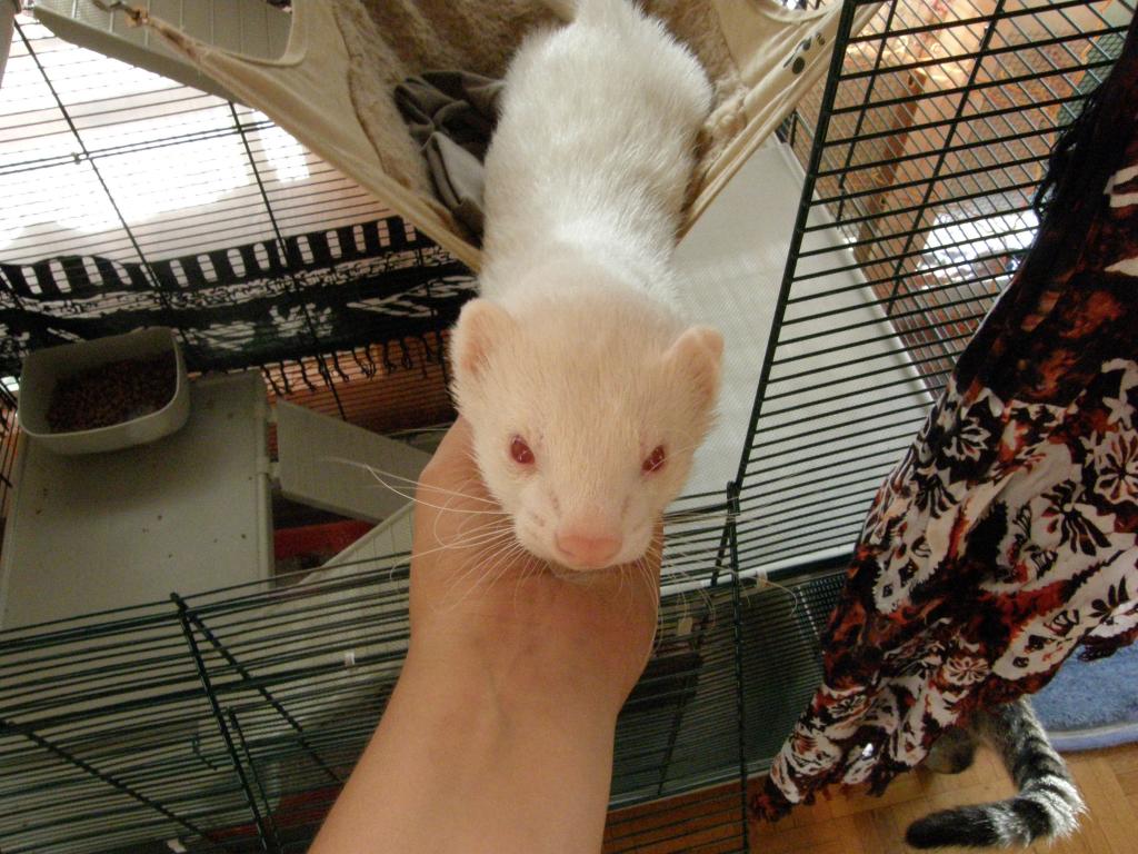 Image: p8080100-59b3e1.jpg
