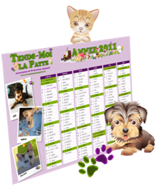Calendrier association protection animale