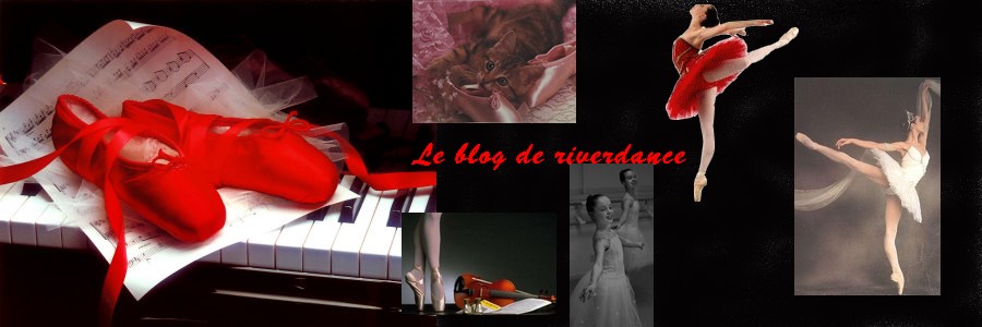 bannière riverdance