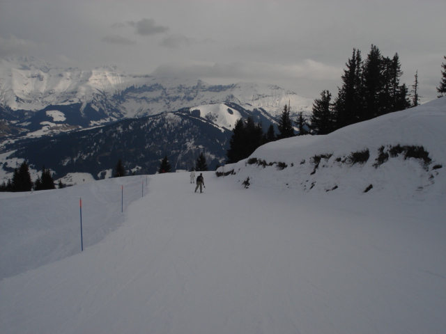 Chevreuil / Megève Jaillet Dsc03885-856371