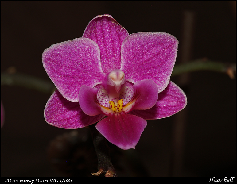 Image externe