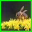 http://img44.xooimage.com/files/6/e/4/z-g-1fe5c10.jpg