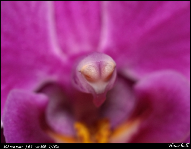 Image externe