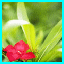 http://img44.xooimage.com/files/8/6/e/ateliers-1-73052a.gif