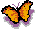 Image: papillons-10--602600.gif
