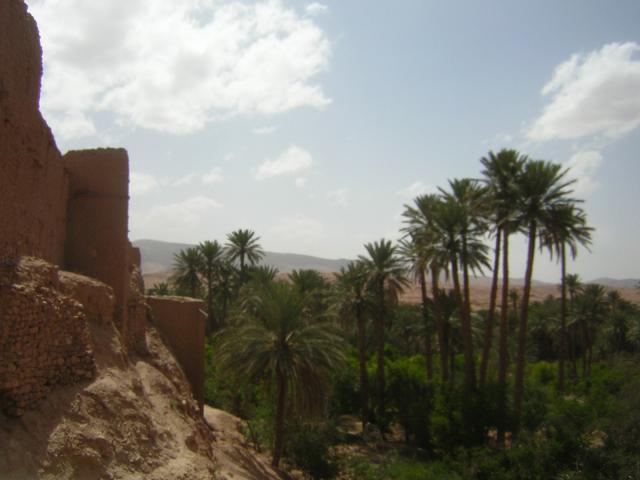 Boussemghoune, "le village heureux" 03-boussem-vue-palmeraie-7bb361