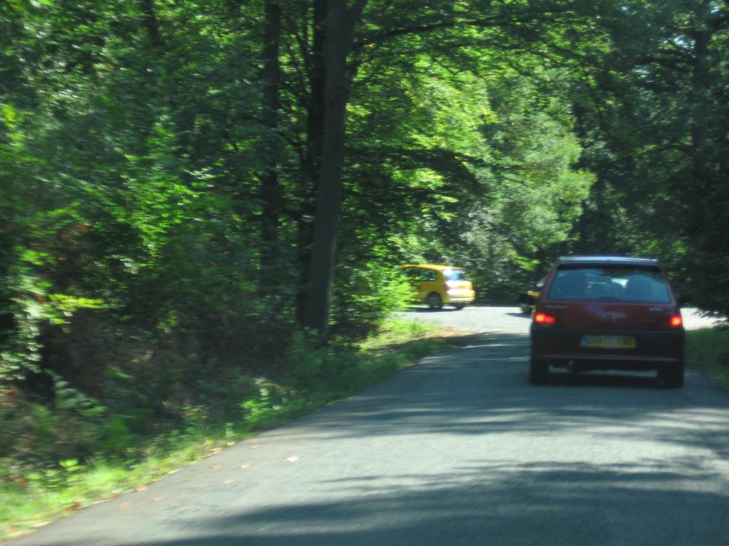 http://img44.xooimage.com/files/9/a/7/sortie-clio-rs-025-669782.jpg