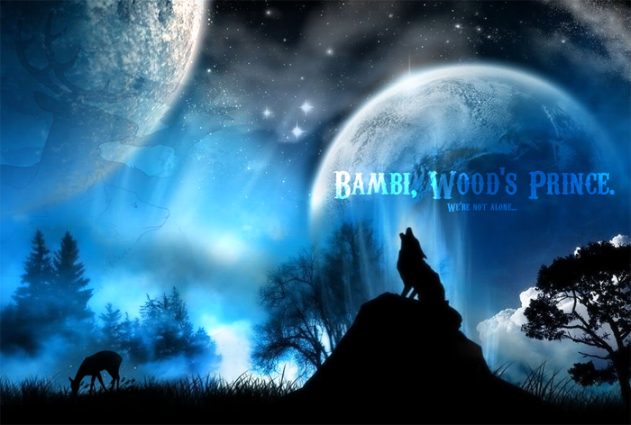 Forum Bambi ~ Wood's Prince ~ Rpg Forum Index