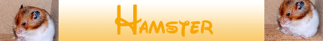 Forum Hamster & Rats