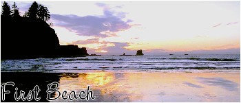 http://img44.xooimage.com/files/c/e/6/first-beach-f02167.jpg