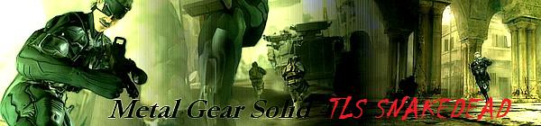 Image: mgs4gunsoflibertydw3-1--7b182a.jpg