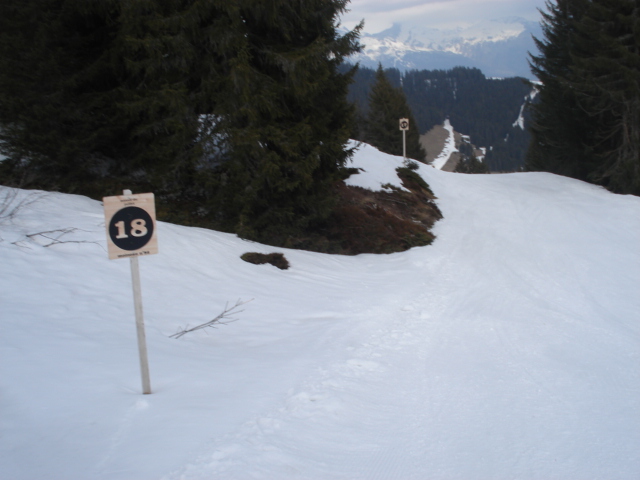 Moineau / Megève Jaillet Dsc03893-8c94f4