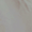 Pas de nouveaux messages
