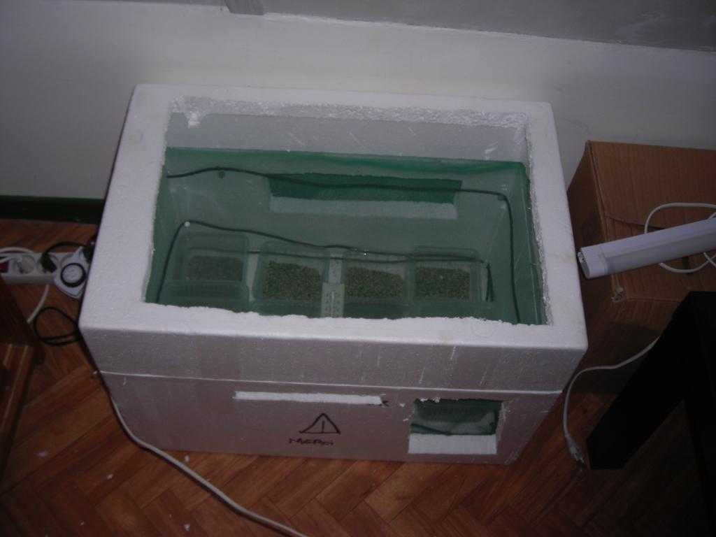 Incubateur Reptile Fait Maison | Ventana Blog