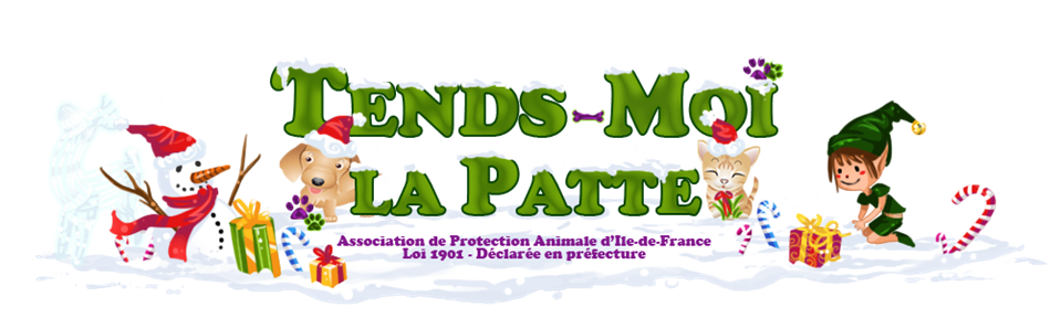 Tout savoir sur la CARTE D'IDENTIFICATION